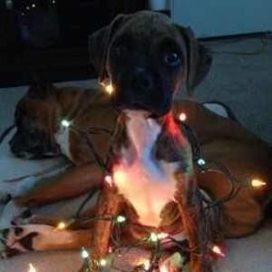 Meet your Posher, Krissy